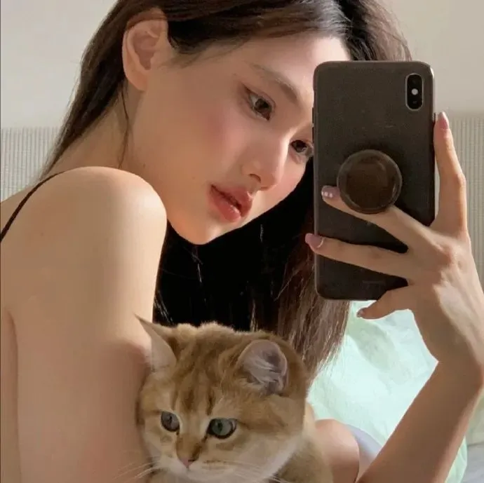 红猪 - 宫崎骏成人童话